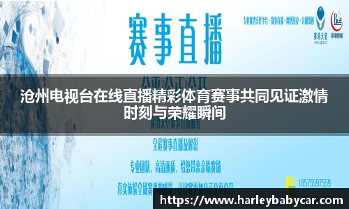 沧州电视台在线直播精彩体育赛事共同见证激情时刻与荣耀瞬间