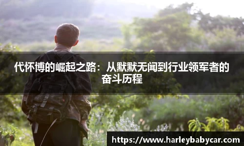 代怀博的崛起之路：从默默无闻到行业领军者的奋斗历程